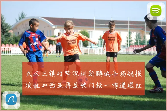 武汉三镇对阵深圳新鹏城半场战报埃杜加西亚再度破门杨一鸣遭遇红牌处罚